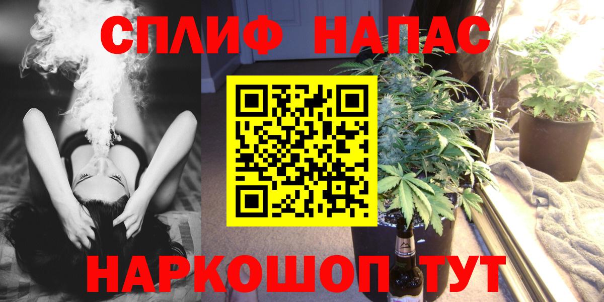 Марихуана сатива Мурино